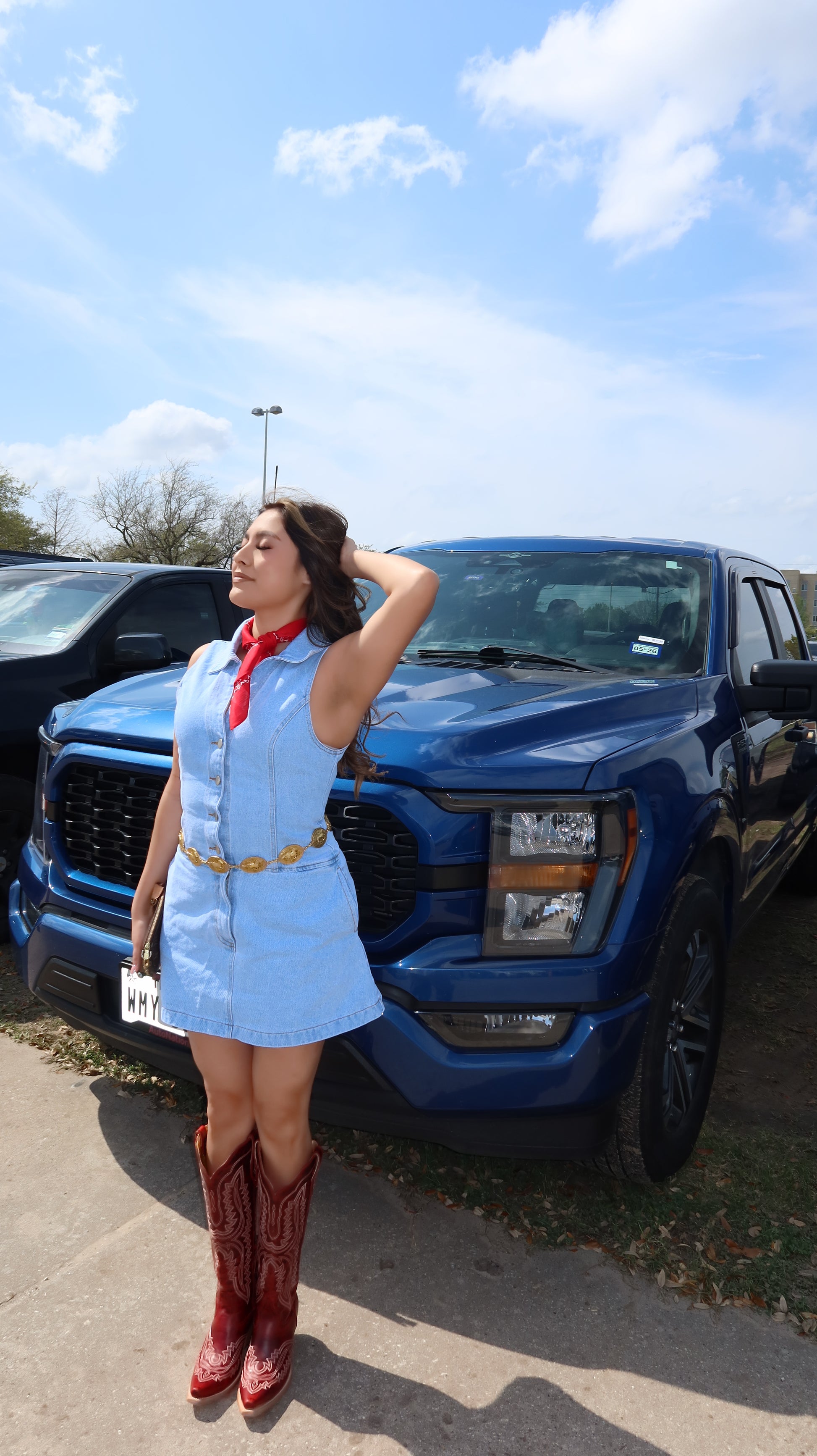Ivy Denim Dress – Denim Tiger Boutique